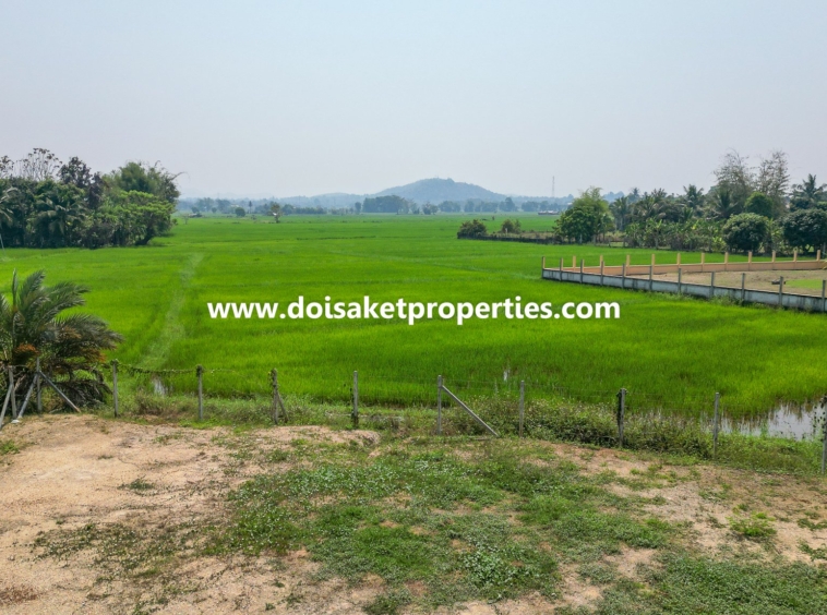 Doi Saket-DSP-(LS380-01) 1-Rai of Prime Land for Sale in Luang Nuea