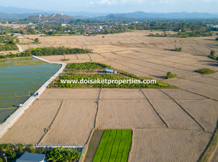 Doi Saket-DSP-(LS389-03) Nice 3+ Rai Plot of Land with Great Views for Sale in Luang Nua