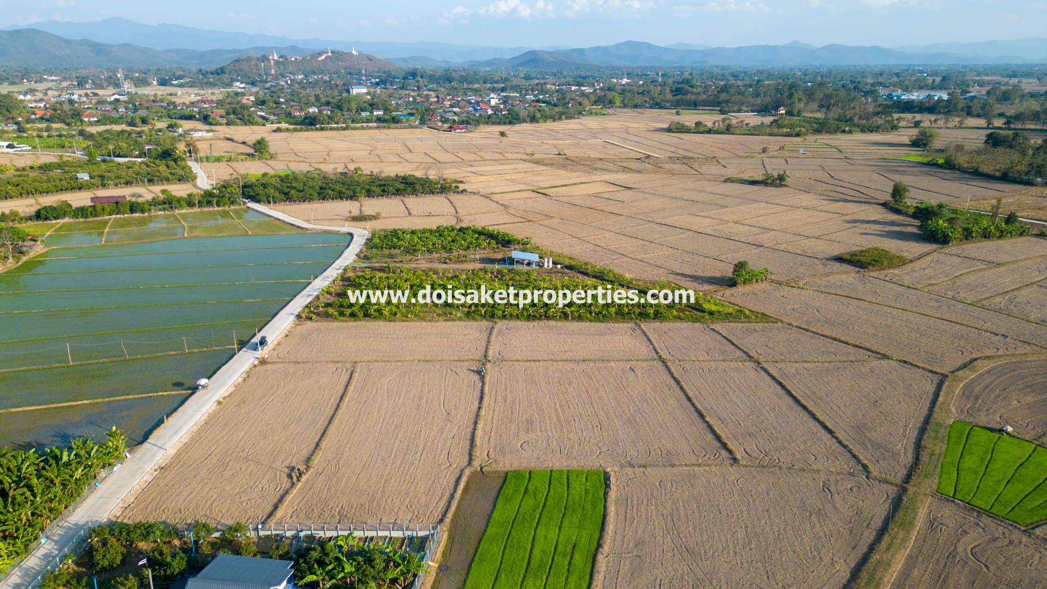 Doi Saket-DSP-(LS389-03) Nice 3+ Rai Plot of Land with Great Views for Sale in Luang Nua