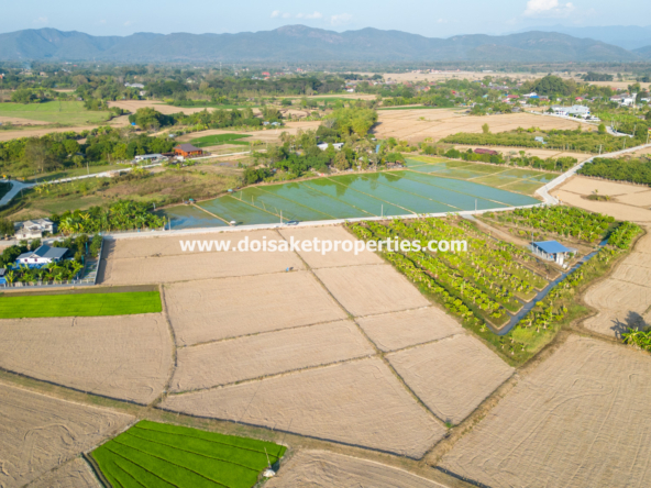 Doi Saket-DSP-(LS389-03) Nice 3+ Rai Plot of Land with Great Views for Sale in Luang Nua