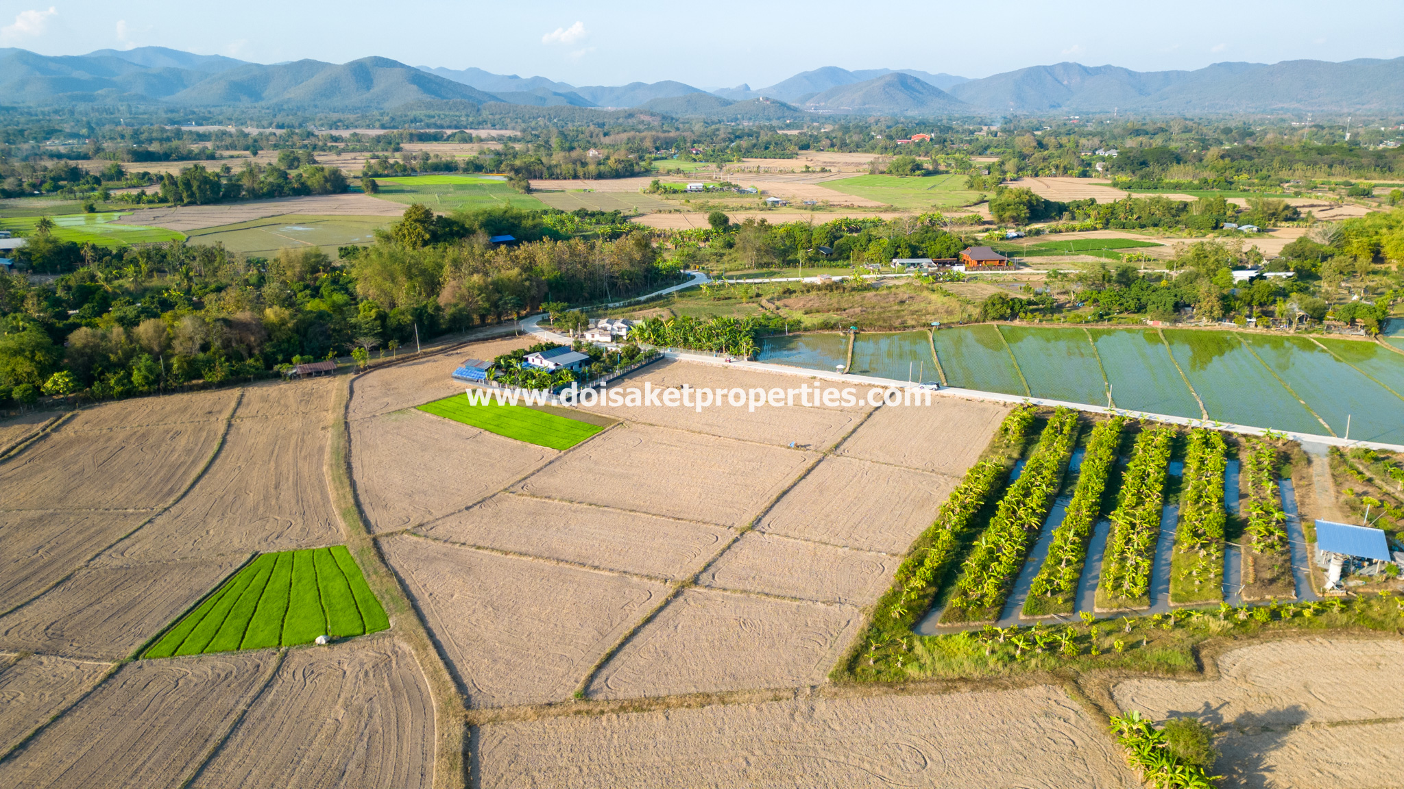 Doi Saket-DSP-(LS389-03) Nice 3+ Rai Plot of Land with Great Views for Sale in Luang Nua