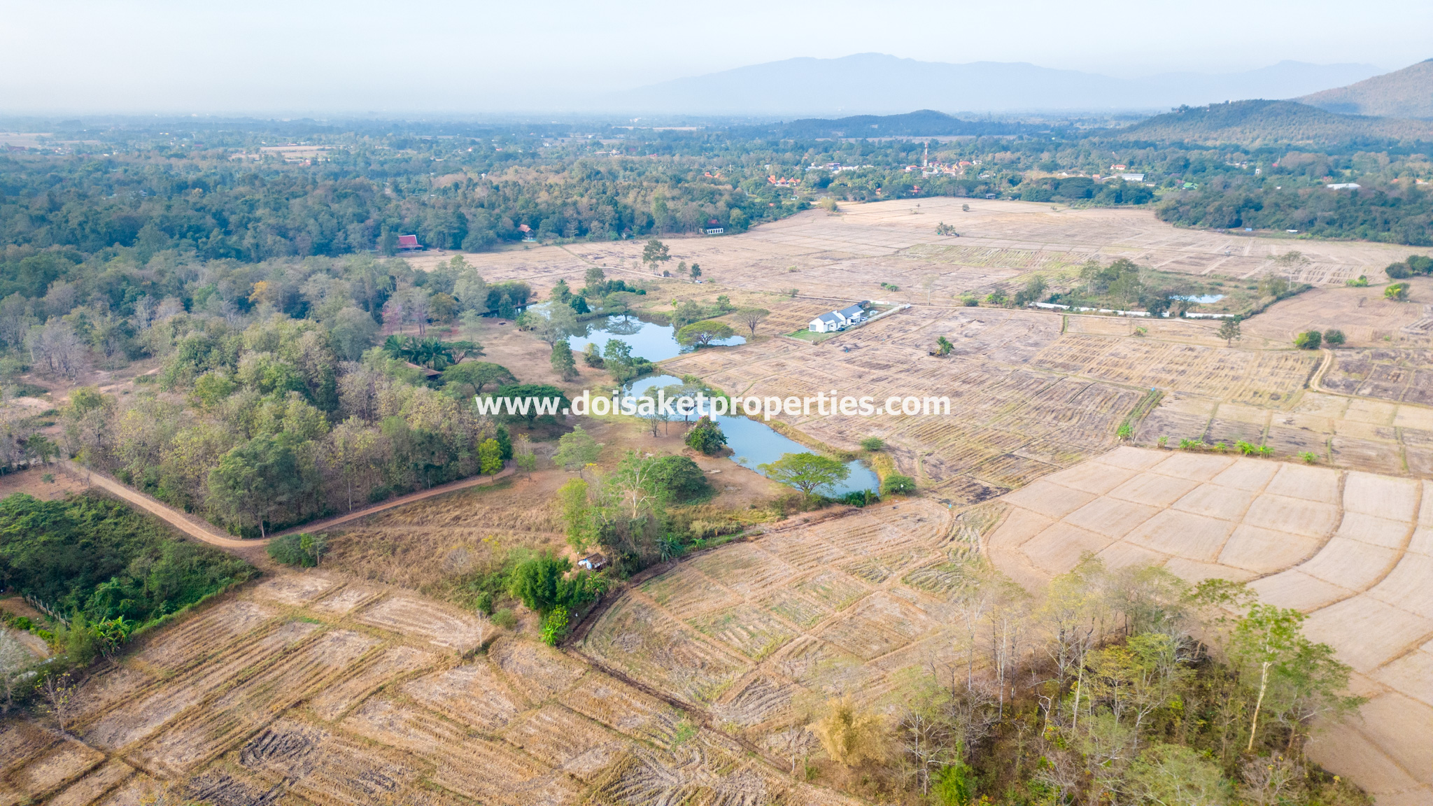 Doi Saket-DSP-(LS390-19) Great 19.5+ Rai Plot of Land for Sale in Luang Nua