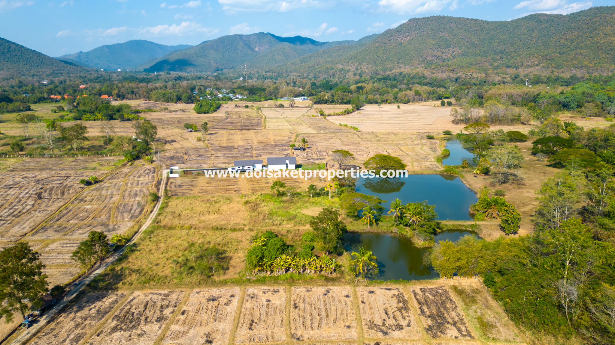 Doi Saket-DSP-(LS391-49) Beautiful ~49 Rai Plot of Land with Incredible Views for Sale in Luang Nua