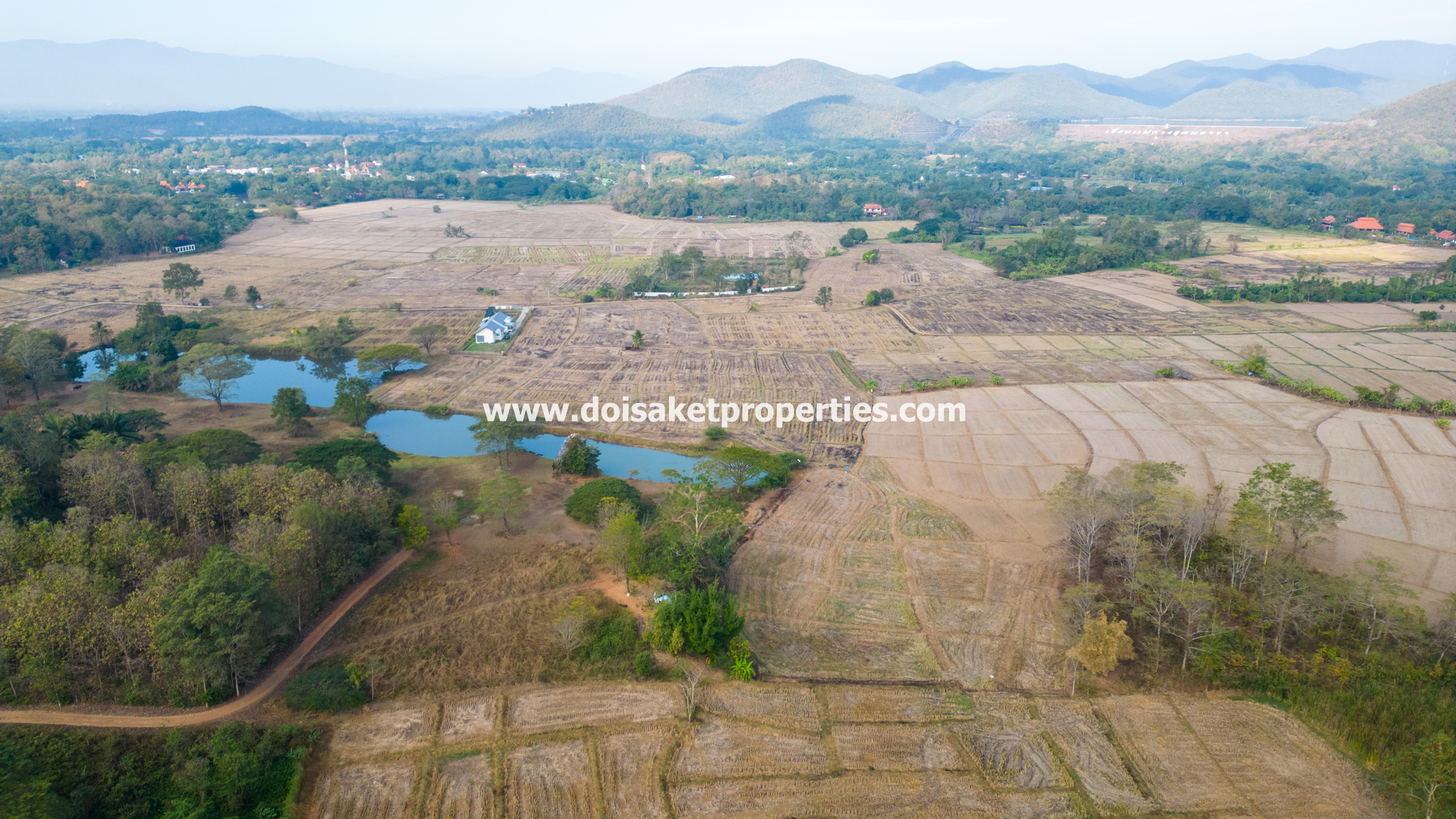 Doi Saket-DSP-(LS392-68) Amazing 68+ Rai Plot of Land with Stunning Views for Sale in Luang Nua