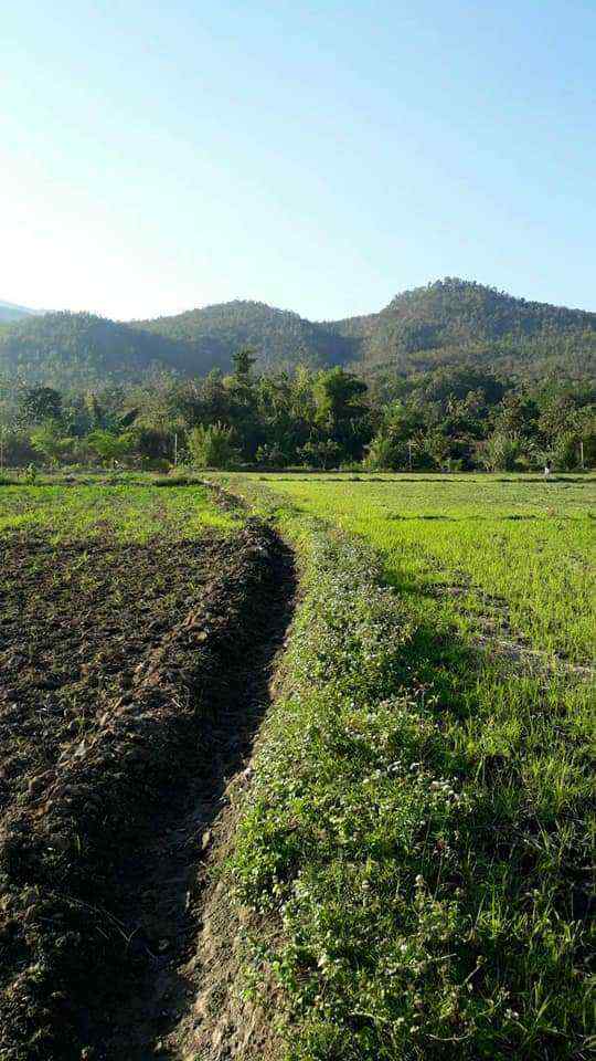 Land for Sale in Chiang Mai - 5 Rai Plot Near Mae Klang Water 10M THB-CMP-273