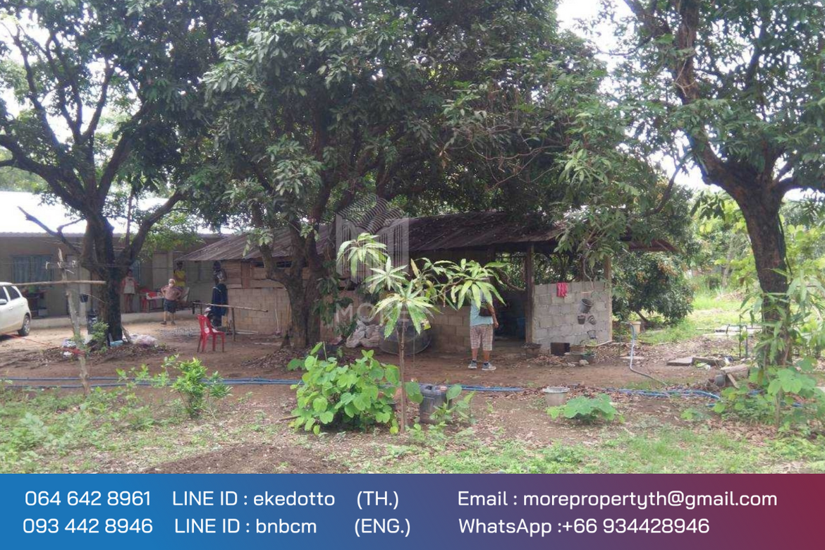 Property id 080LS Land for sale in Chiang Mai 1-2 - 12 rai