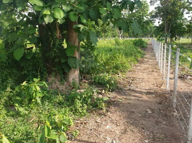 Property id178ls Land for sale in Hangdong 10 -0 27 Rai near Grand Canyon Water Park-MR-178LS