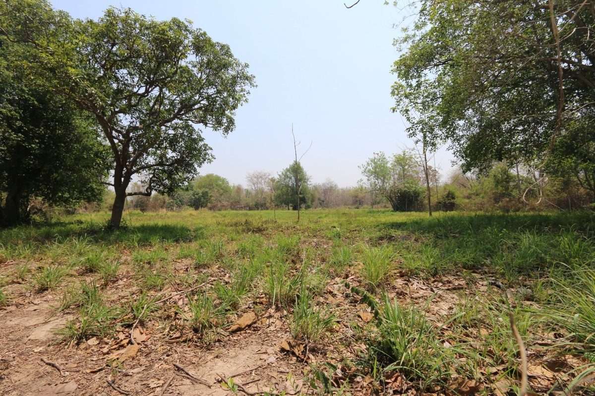 Land plot in tranquil Nam Phrae-PH-LAND103