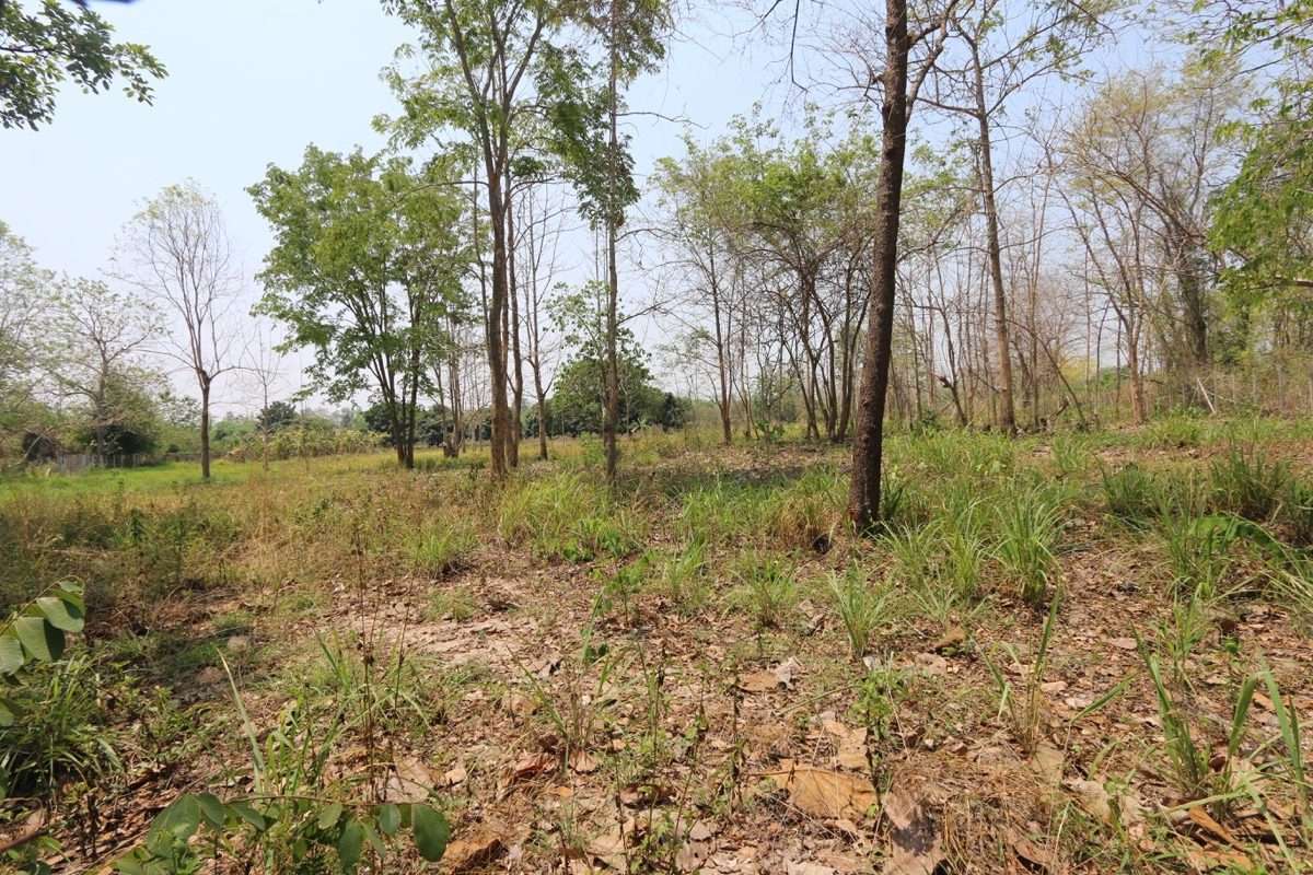 Land plot in tranquil Nam Phrae-PH-LAND103