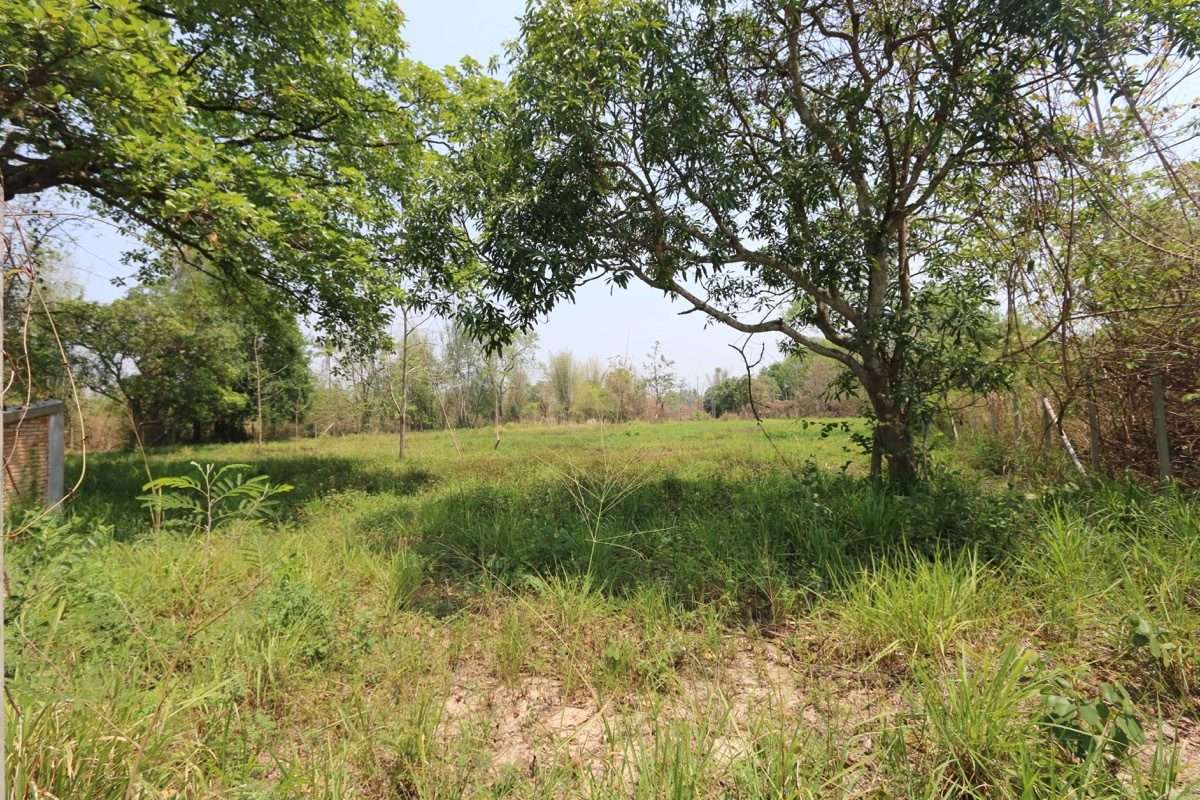 Land plot in tranquil Nam Phrae-PH-LAND103