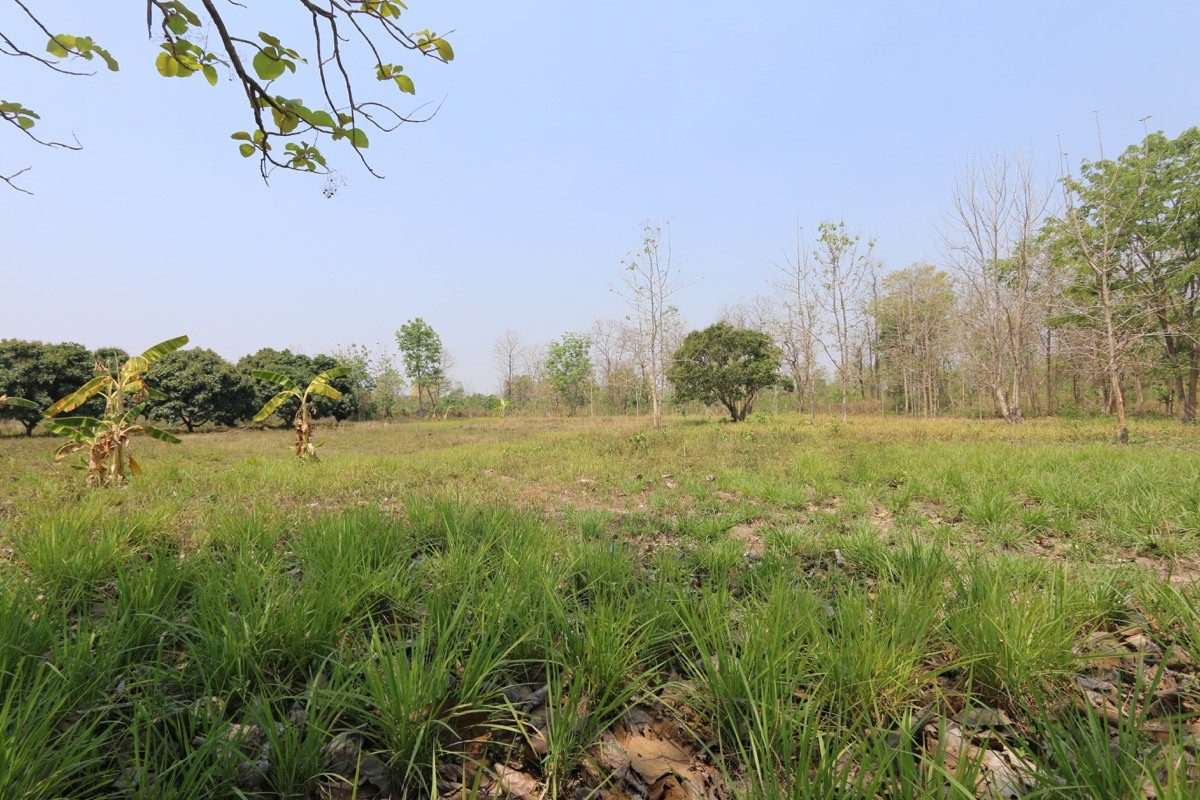 Land plot in tranquil Nam Phrae-PH-LAND103