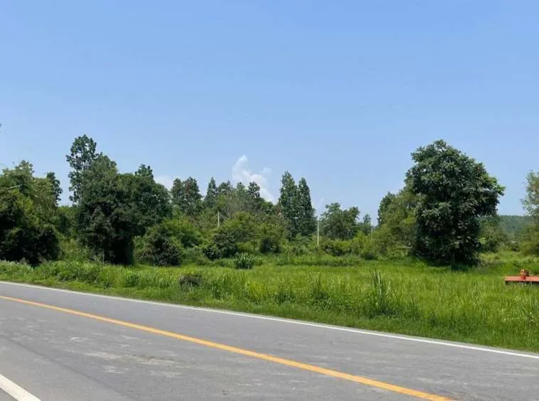 Property id 062LS Land for sale in Chiang Mai. Mae Rim-Ban Rai Road