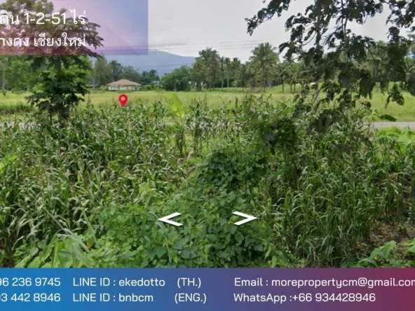 Property ID172LS Land for sale in Mae Rim 1-2 -51 Rai near Green valley golf club-MR-172LS