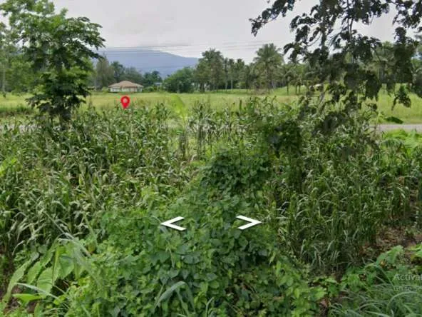 Property ID172LS Land for sale in Mae Rim 1-2 -51 Rai near Green valley golf club-MR-172LS