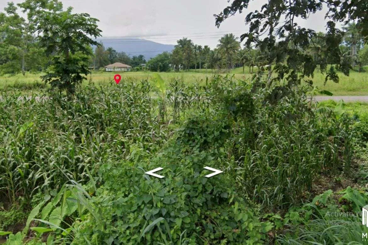 Property ID172LS Land for sale in Mae Rim 1-2 -51 Rai near Green valley golf club-MR-172LS