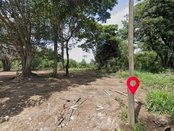 Property ID197LS Land for sale in Mae Rim