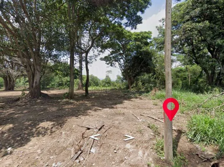 Property ID197LS Land for sale in Mae Rim