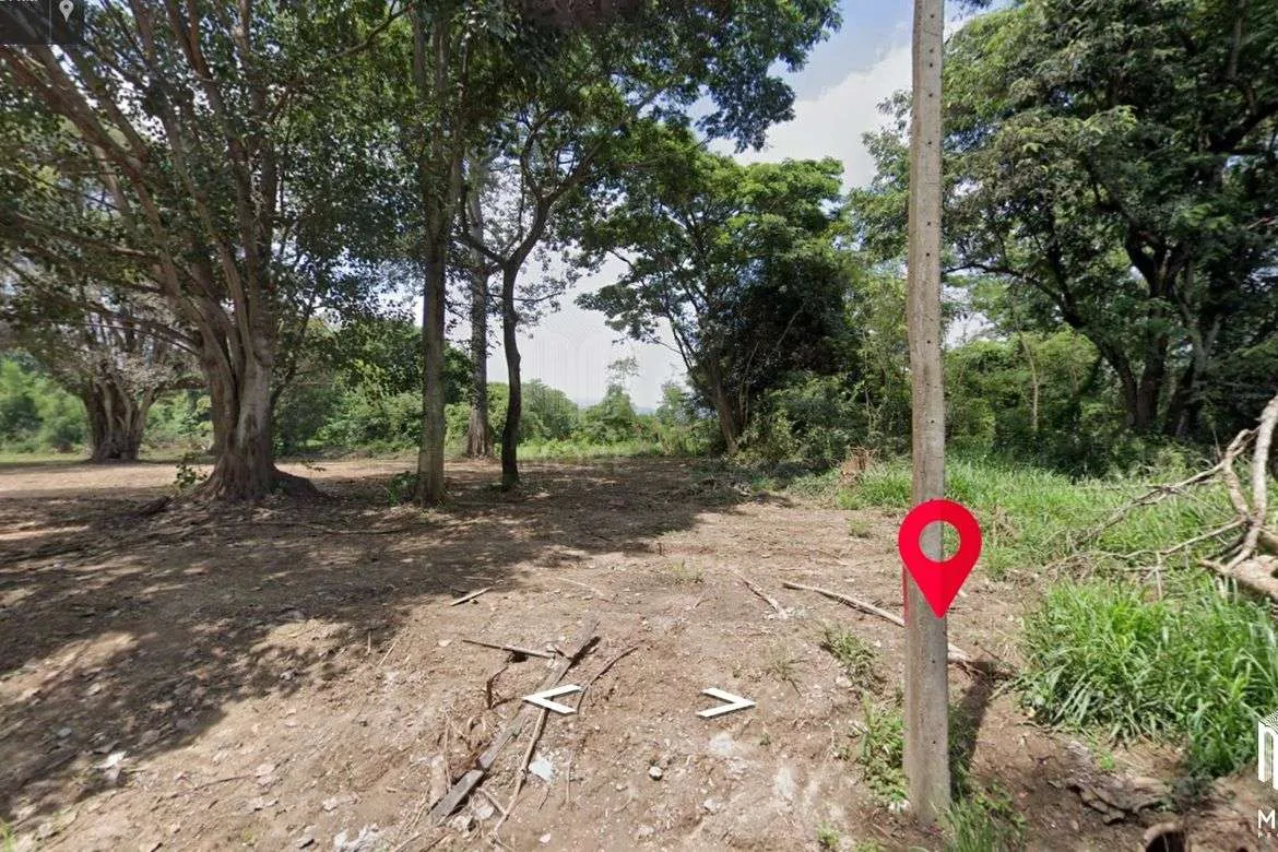 Property ID197LS Land for sale in Mae Rim