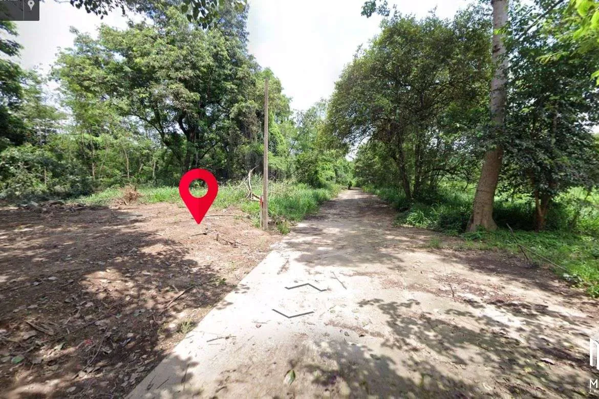 Property ID197LS Land for sale in Mae Rim