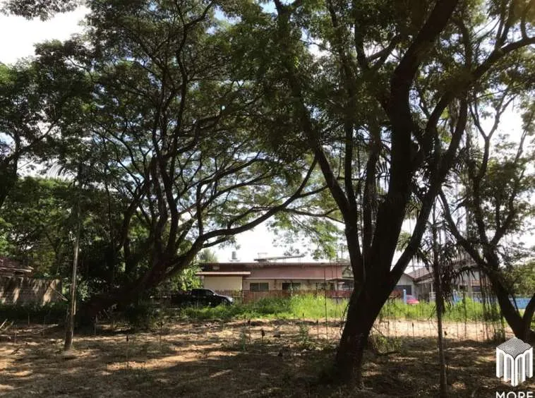 Property ID202LS Land for sale in Mae Rim 1-0-3 Rai near Nakornping Hospital.-MR-202LS