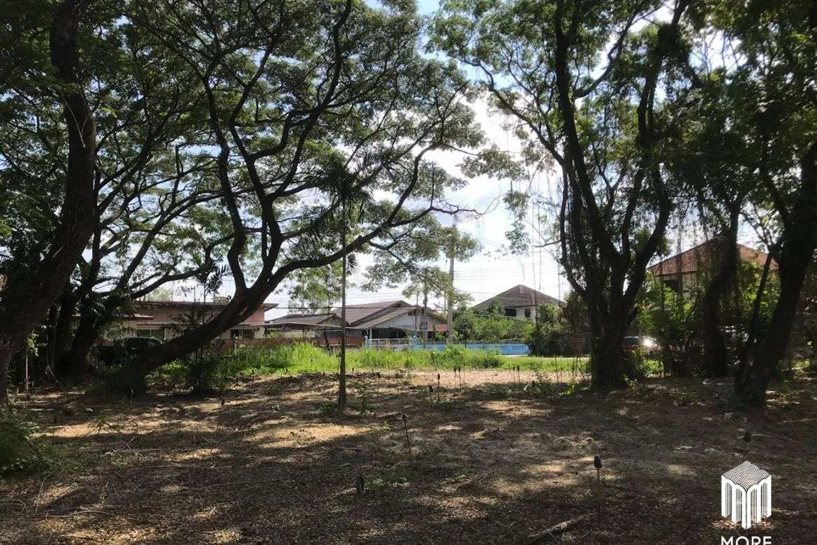 Property ID202LS Land for sale in Mae Rim 1-54 Rai near Nakornping Hospital-MR-203LS