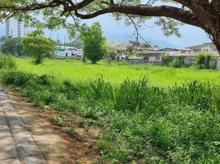 Property id142ls Land for sale in ChangPuek 0-1-80Rai near Rajabhat Chiangmai-MR-142ls.