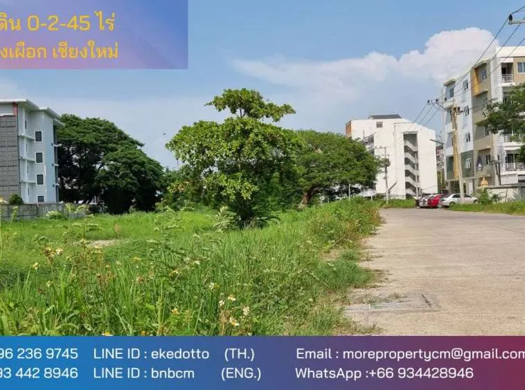 Property id143ls Land for sale in ChangPuek 0-2-45Rai near Rajabhat Chiangmai-MR-143ls