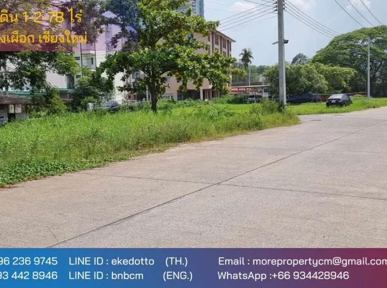 Property id145ls Land for sale in ChangPuek 1-2-78Rai near Rajabhat Chiangmai-MR-145ls