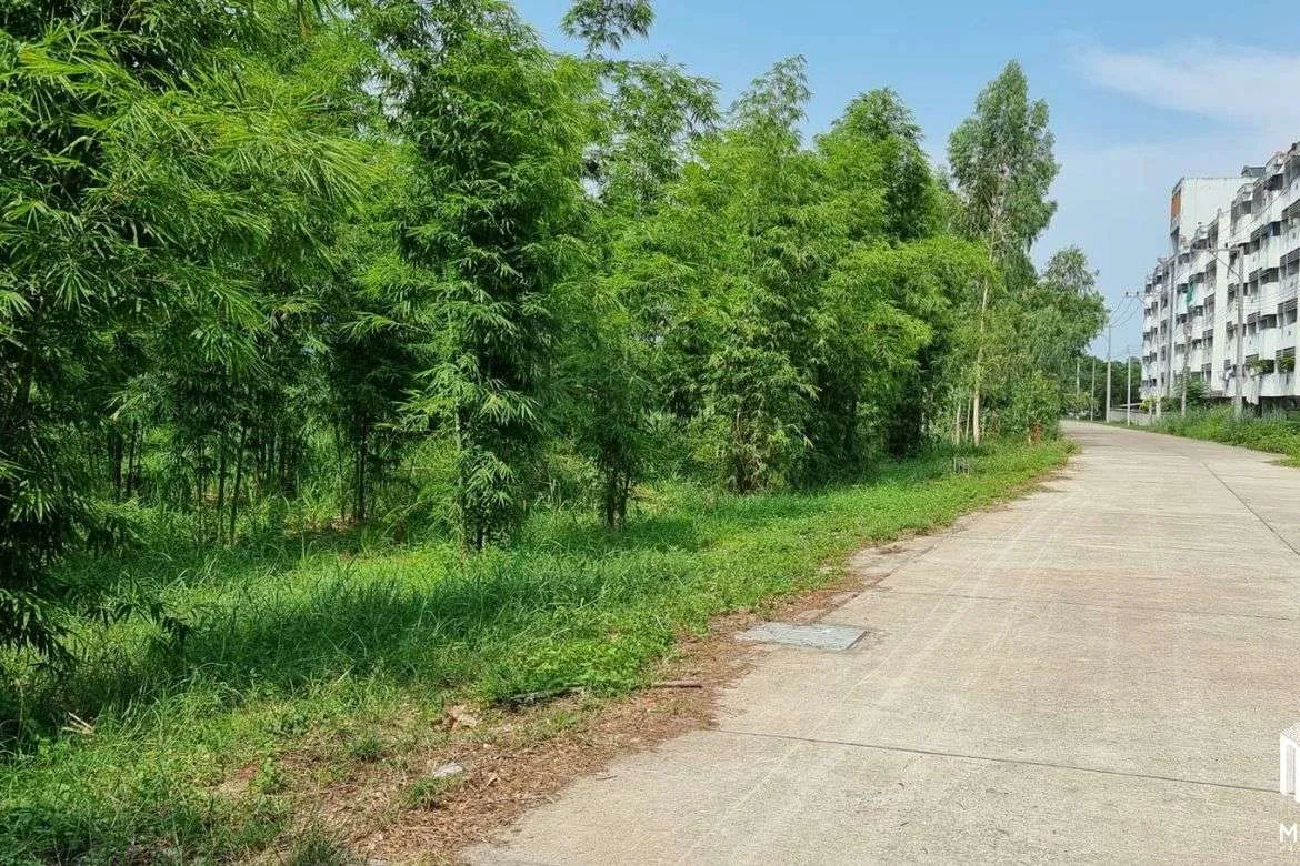 Property id146ls Land for sale in ChangPuek 1-2-78Rai near Rajabhat Chiangmai-MR-146ls.