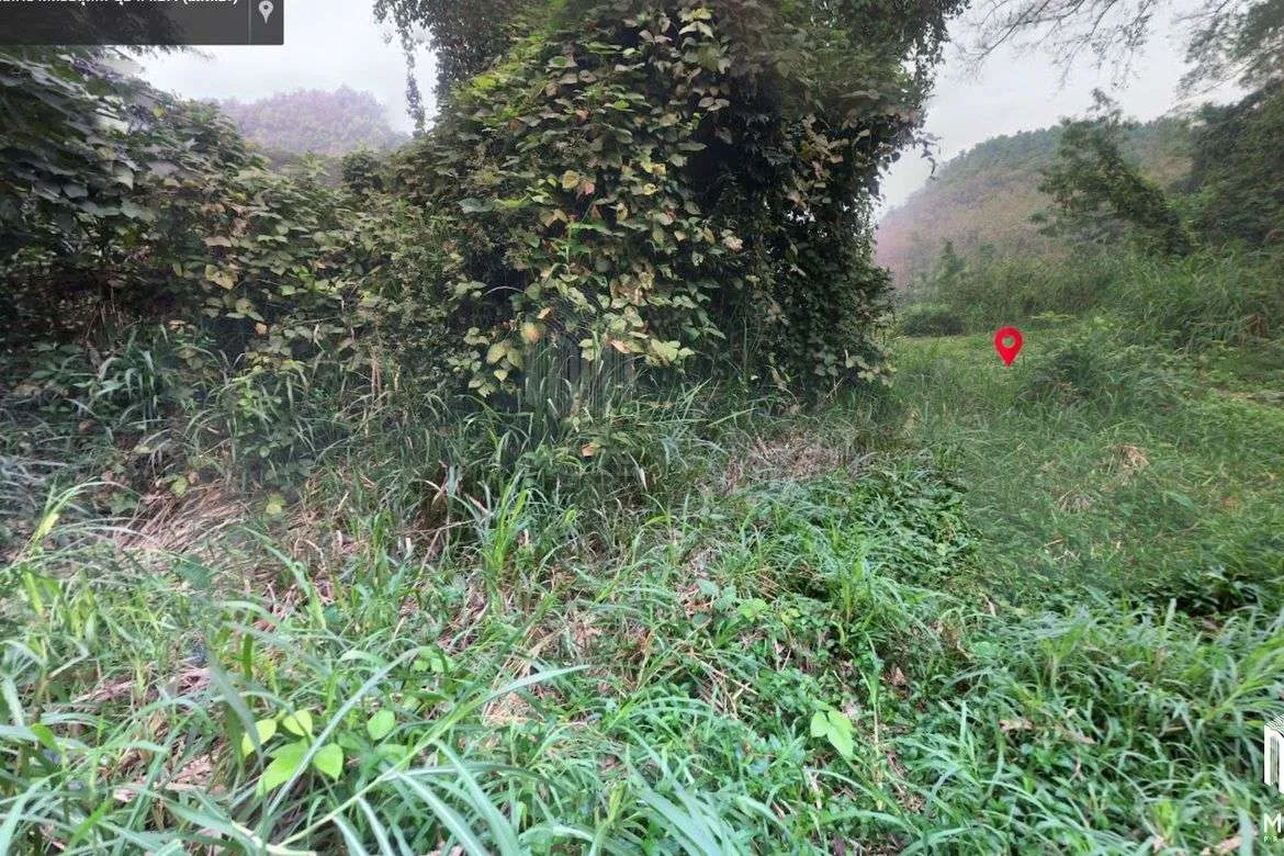 Property id 184LS Land for sale in Mae Hia 1-0-58 Rai near Doi Khum Temple-MR-184LS