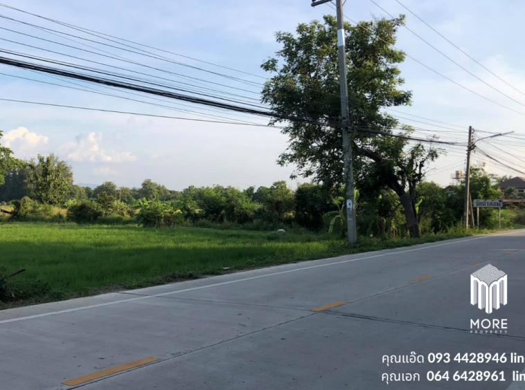 Property id024ls Land for sale in San Khum Phaeng 14-3-82 Rai near Buak Khang Municipality-MR-024ls