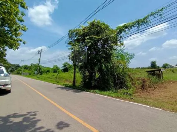 Property id 180ls Land for sale in San Kham Phaeng 7-3-53 Rai near Mae Kue Market-MR-180ls