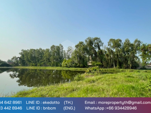 Property id 118ls Land for sale in San Na Meng