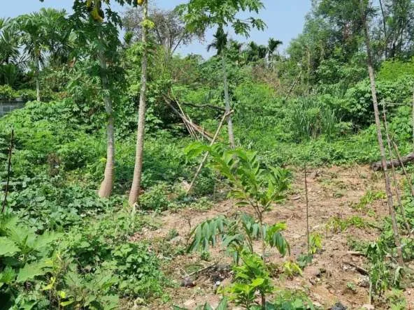 Property id140ls Land for sale in SanSai 0-2-68Rai near Sam Yak Market-MR-140ls