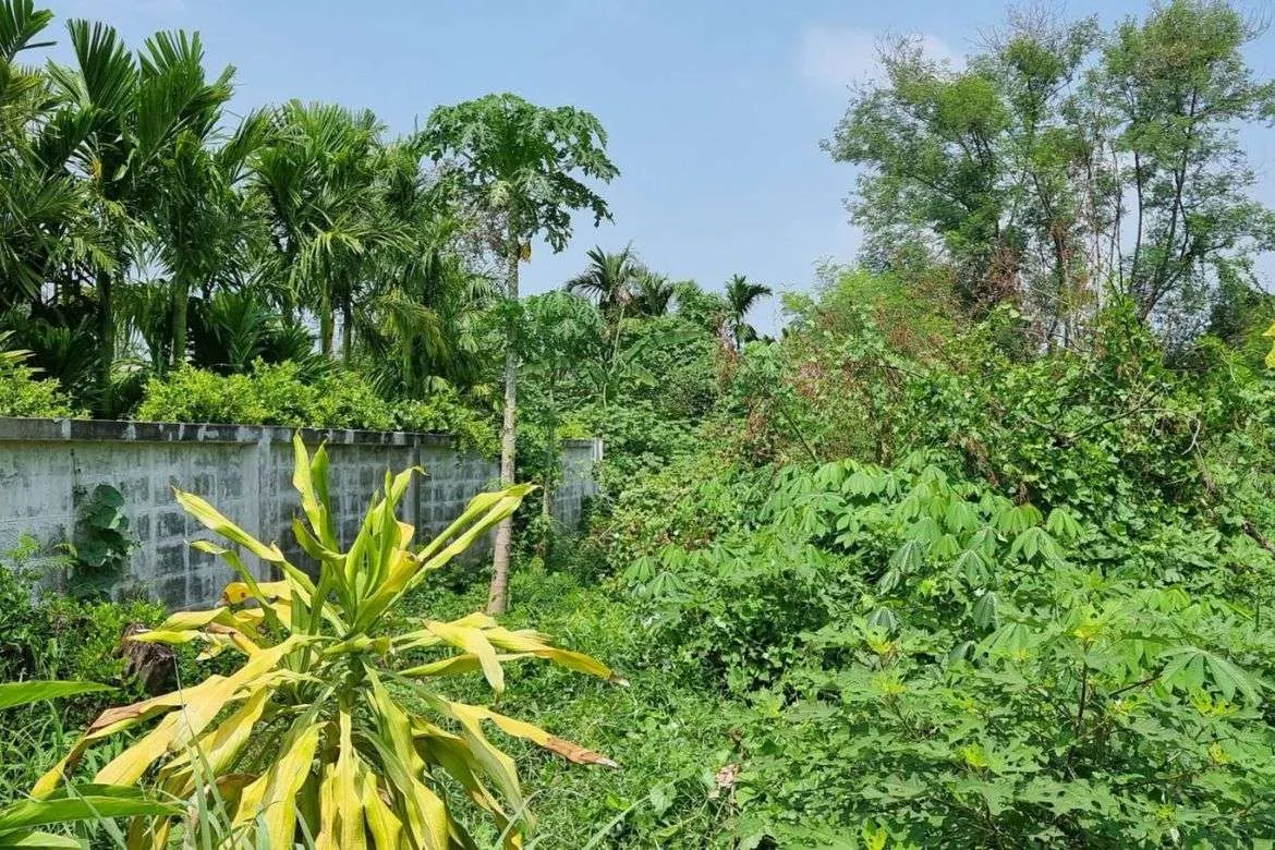 Property id140ls Land for sale in SanSai 0-2-68Rai near Sam Yak Market-MR-140ls