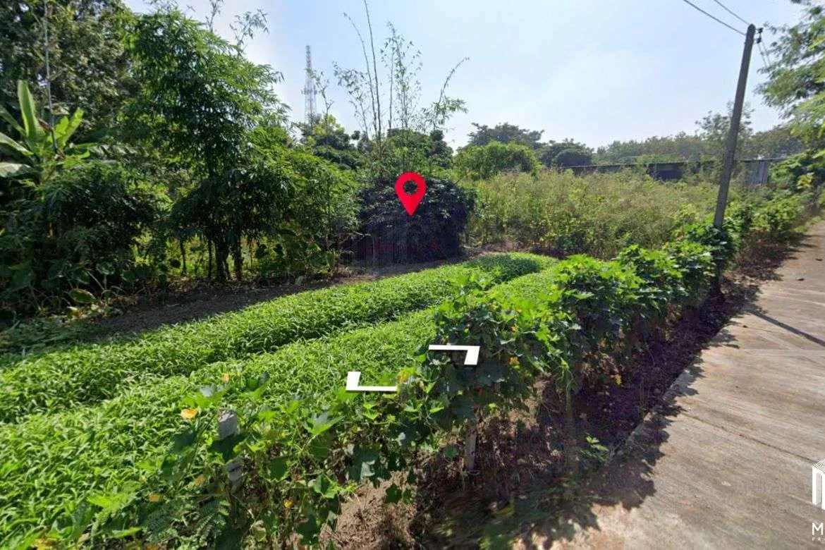 Property id016ls Land for sale in Saraphi 2- 0- 63 Rai near Wat Ko Prajamhong-MR-016ls