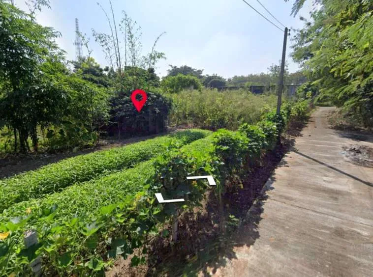 Property id016ls Land for sale in Saraphi 2- 0- 63 Rai near Wat Ko Prajamhong-MR-016ls