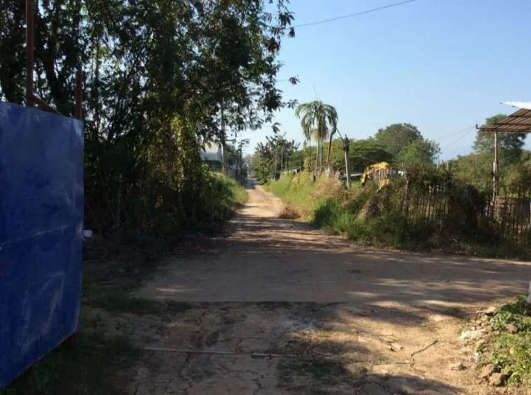 Property id016ls Land for sale in Saraphi 2- 0- 63 Rai near Wat Ko Prajamhong-MR-016ls