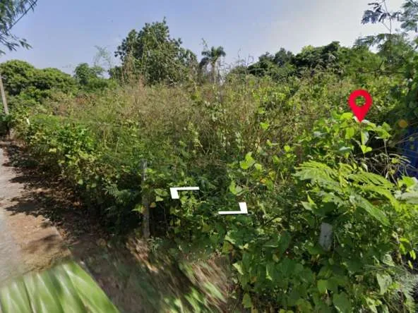 Property id016ls Land for sale in Saraphi 2- 0- 63 Rai near Wat Ko Prajamhong-MR-016ls