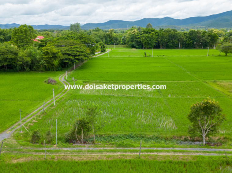 San Kamphaeng-DSP-(LS385-04) 4+ Rai of Land with Mountain Views for Sale in Huai Sai