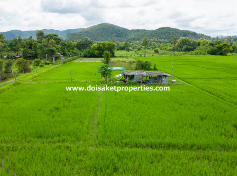 San Kamphaeng-DSP-(LS385-04) 4+ Rai of Land with Mountain Views for Sale in Huai Sai