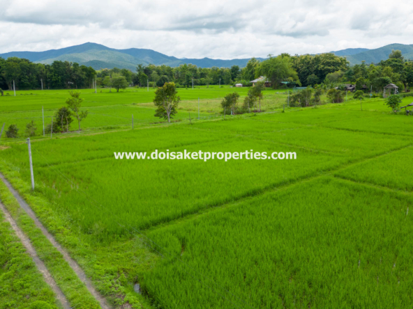 San Kamphaeng-DSP-(LS385-04) 4+ Rai of Land with Mountain Views for Sale in Huai Sai