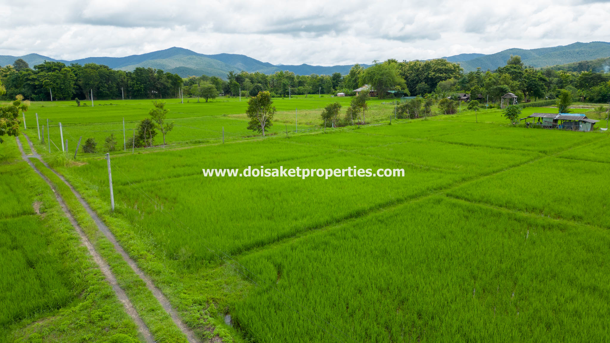 San Kamphaeng-DSP-(LS385-04) 4+ Rai of Land with Mountain Views for Sale in Huai Sai