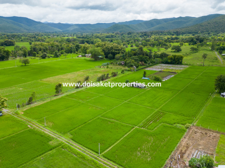 San Kamphaeng-DSP-(LS385-04) 4+ Rai of Land with Mountain Views for Sale in Huai Sai