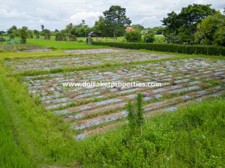 San Kamphaeng-DSP-(LS385-04) 4+ Rai of Land with Mountain Views for Sale in Huai Sai