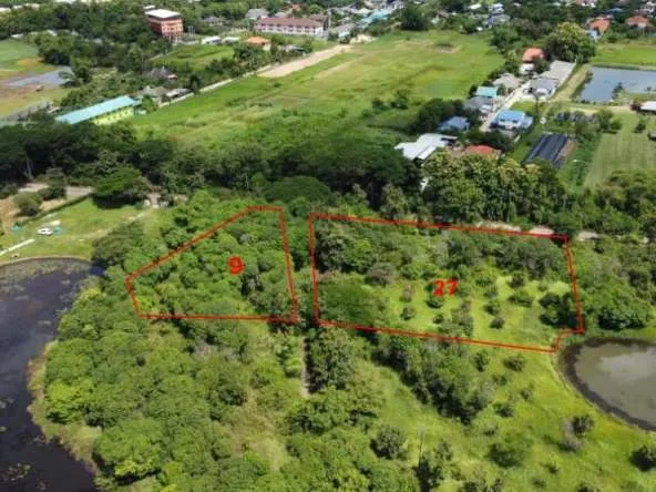 San Sai-DSP-(LS357-01) 1 Rai of Nice Land for Sale in Pha Pai