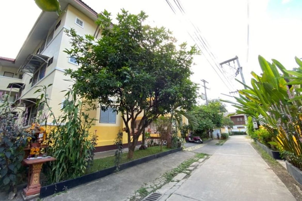 50 rooms apartment for sale in Muang Chiang Mai-P-PCCS487