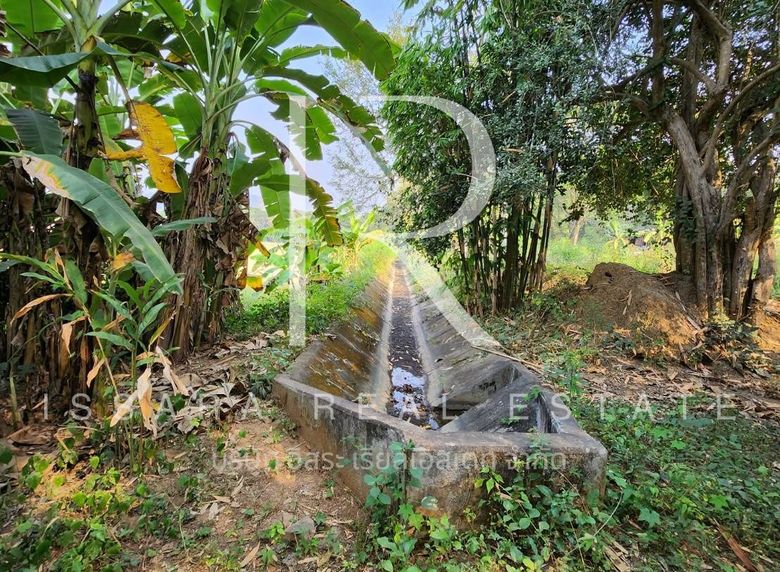 7 Rai of Land with Incredible Views for Sale in Doi Saket Chiang Mai-IRE-IRELS001