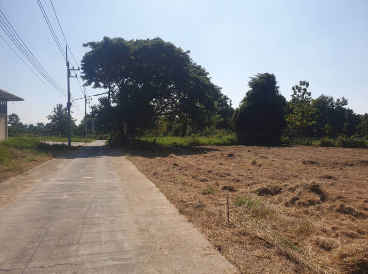 Plots of Land for Sale in Nam Prae Hang Dong Nearby Mae Hia Market-IRE-IRELS005