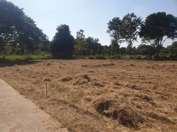 Plots of Land for Sale in Nam Prae Hang Dong Nearby Mae Hia Market-IRE-IRELS005